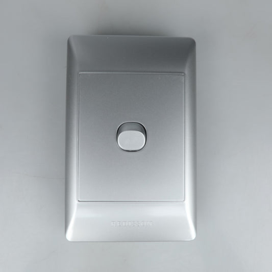 REDISSON Paddle Light Switch – Silver, Safe, and Long-Lasting Control for Two Channels  A101(SIL)